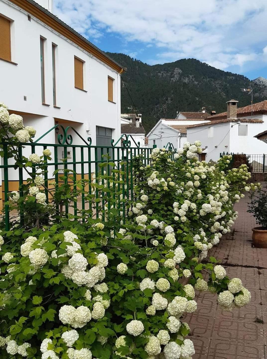 Albergue Ruta Rio Borosa Кото Риос Екстериор снимка